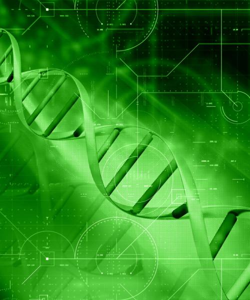 Breakthrough in Quantum Computing: Computing Power Reaches Milestone