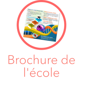 brochure-fr