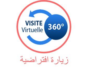 زيارة افتراضية